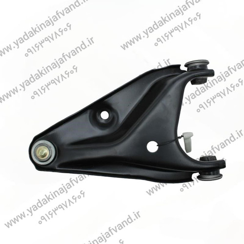 طبق کامل ساندرو چپ امیرنیا